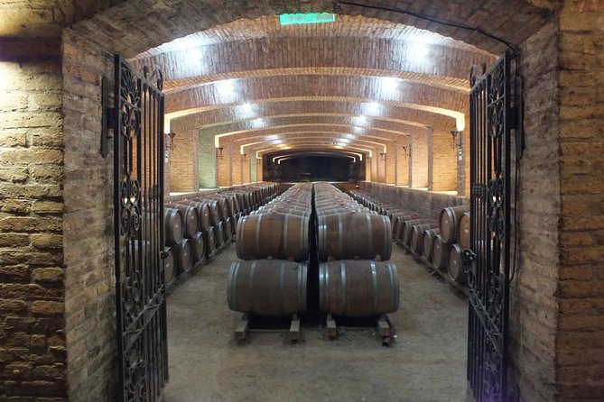 Maipo Valley Wine Tour with 4 vineyards from Santiago. - Viña Santa Ema and three premium wines