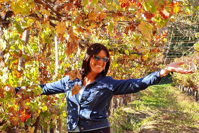 Maipo Valley Wine Tour with 4 vineyards from Santiago. - Pickup, vehicle, and the rhythm of the day