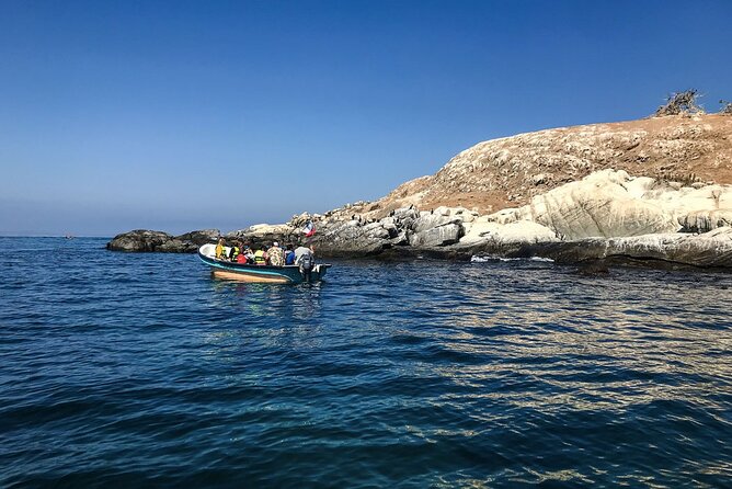 Marine life & flavors of the Pacific Full Day Private Tour - Leaving Santiago for the Pacific coast