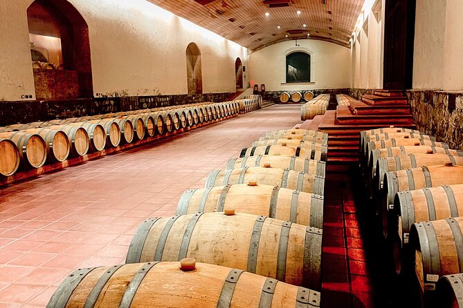 Marquis de Casa Concha: Wine tasting in Concha y Toro - The Casillero del Diablo legend