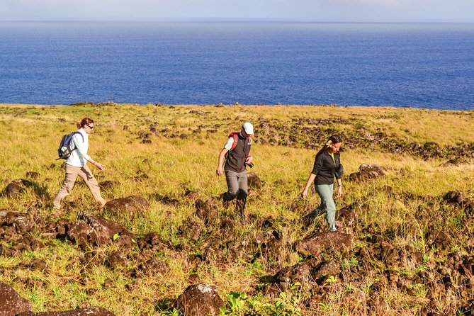 Miru: The North Coast Full Day Hike - Starting in Hanga Roa at 9 a.m.