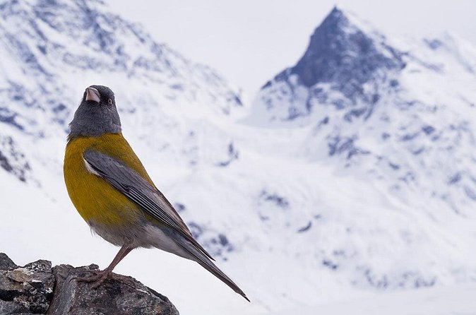 Morado Natural Monument - Snowshoeing in winter and mountain weather