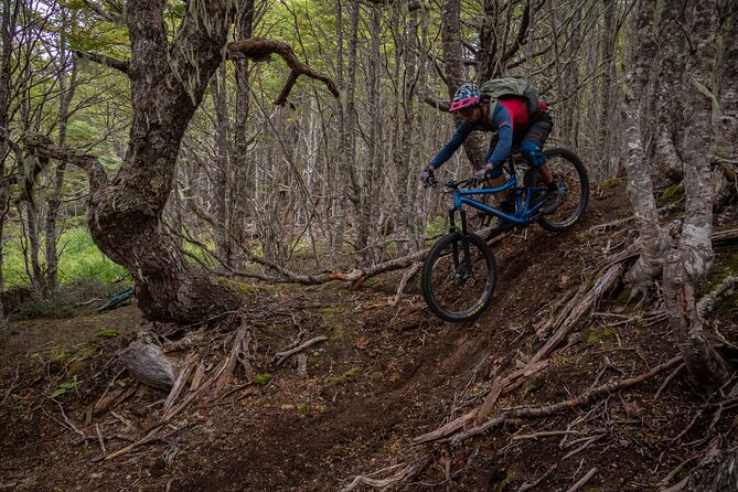 Mountain Bike Adventure in Punta Arenas - Key points before you book