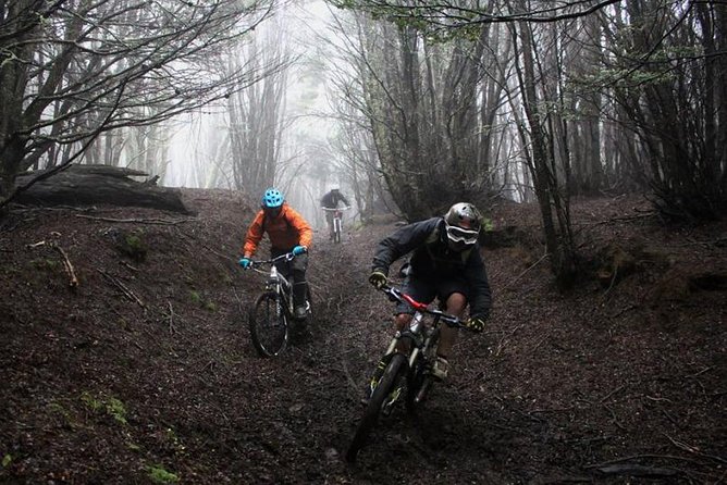 Mountain Bike Adventure in Punta Arenas - Bikes, helmets, and the value of electric assistance