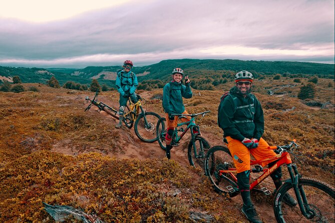 Mountain Bike Adventure in Punta Arenas - Moving from forest trails to hilltop views