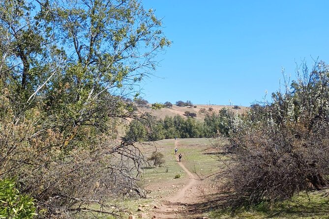 Mountain Bike Experience from Chile - What is included for $289