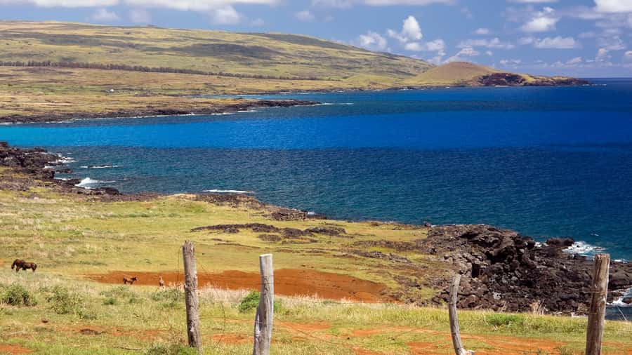 Mystery of the Poike:Walk through the most unknown Rapa Nui - Is $219 per person good value?