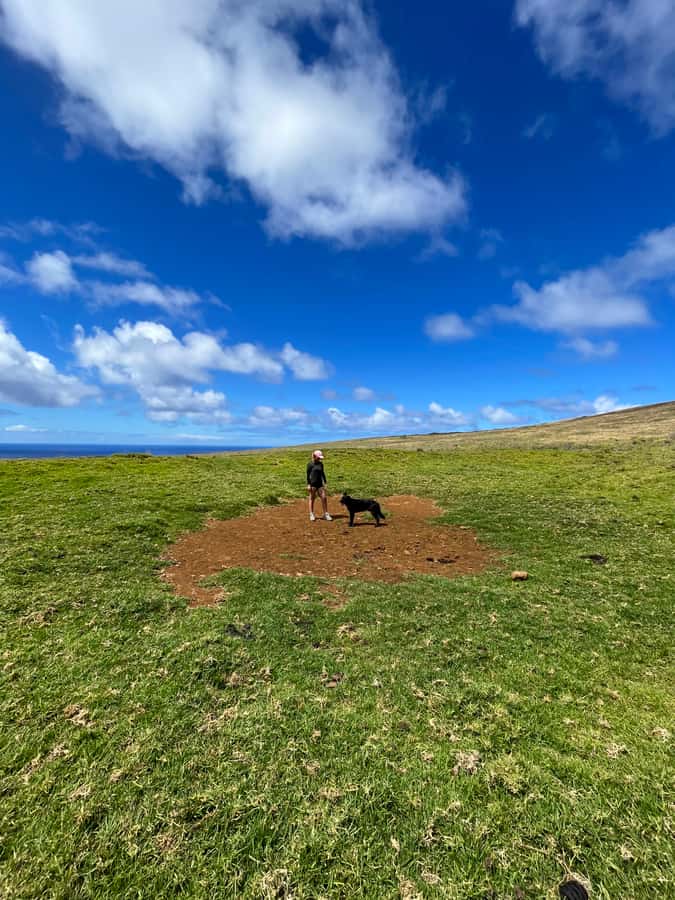 Mystery of the Poike:Walk through the most unknown Rapa Nui - How the guide shapes the day