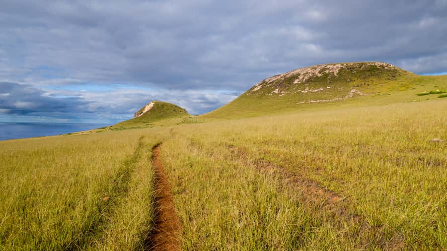 Mystery of the Poike:Walk through the most unknown Rapa Nui - Starting from Easter Island with a private guide