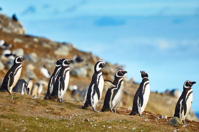 Navigation to South Fjords & Magdalena Island - The boat ride and Patagonia’s changeable weather