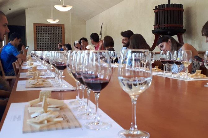 New Concha y Toro Tour Marques with class, extra tasting y food - Inside Casillero del Diablo’s cellar