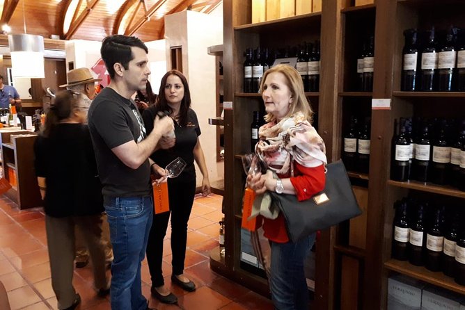 New Premium Concha y Toro Tour Includes winetasting & Transport - The park and Don Melchor House
