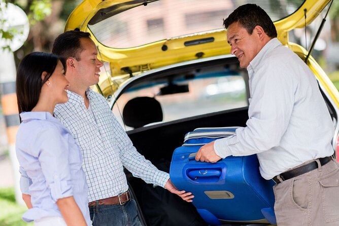 Oneway Private Transfer from Punta Arenas Airport to Punta Arenas - Who should book this Punta Arenas transfer?