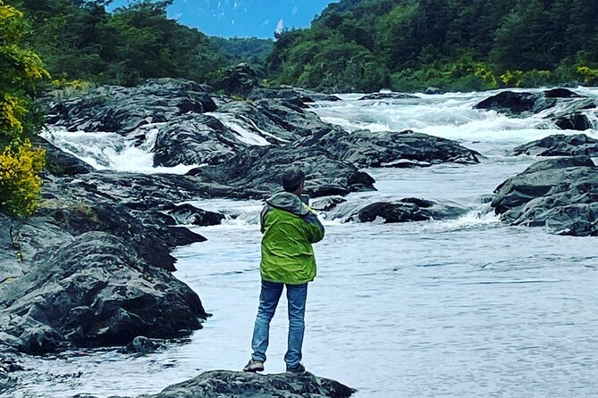 Osorno Volcano and National Park Shore Tour for Cruisers - Petrohué Falls: powerful water and a short walk