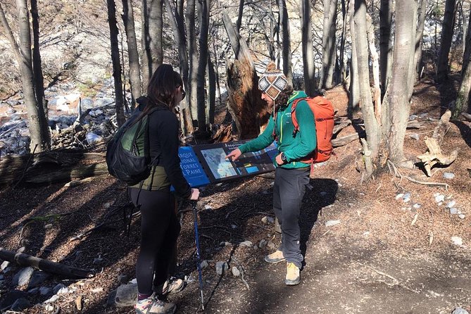 Outdoor trekking in Base Torres (private service) - Camping Las Torres to the Base Torres viewpoint