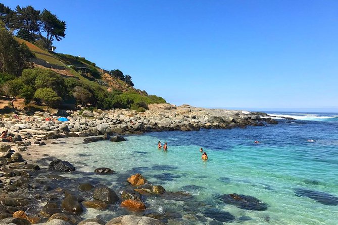 Pacific Ocean Hike Private Tour 7K - Leaving Santiago for the central coast