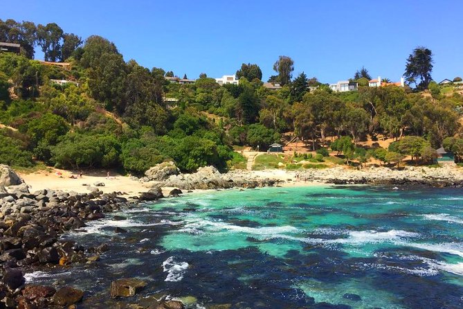 Pacific Ocean Hike Private Tour 7K - Hidden beaches and the life between the rocks