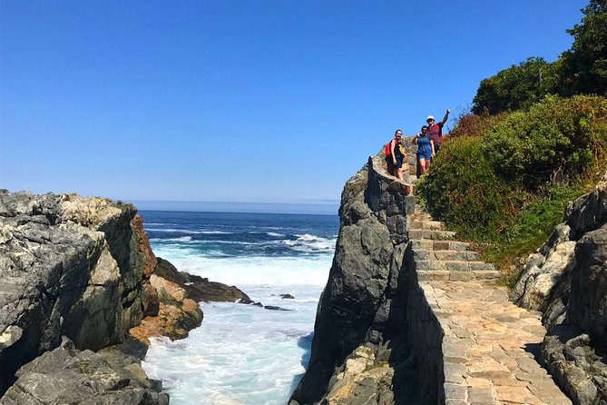 Pacific Ocean Hike Private Tour 7K - What $250 per person gets you