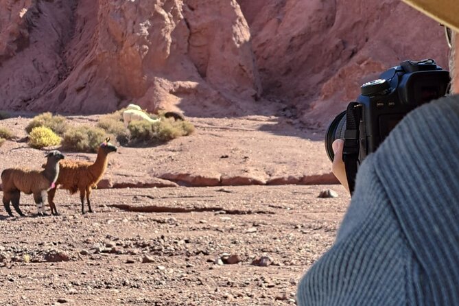 Pack 3 Days, Private Tours in 4x4, Meet the Hidden Desert. - Day 1: Cordillera de la Sal and the desert around San Pedro