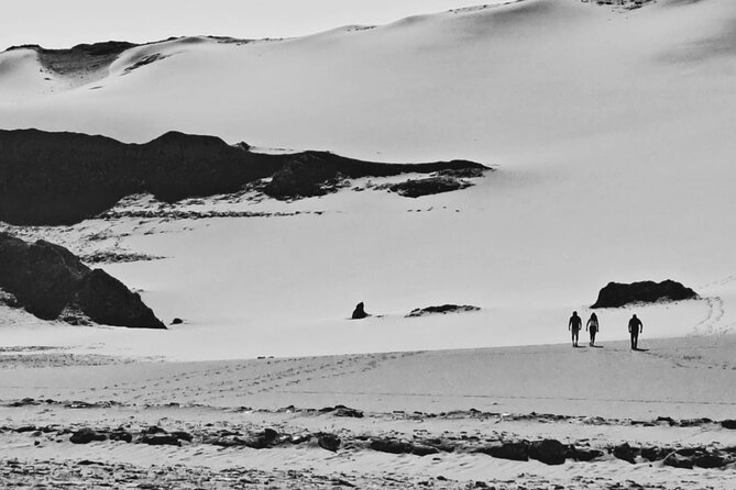 Pack 3 Days, Private Tours in 4x4, Meet the Hidden Desert. - What the $1,185 group price really covers