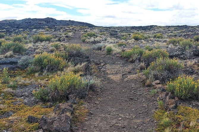 Pali Aike Full-Day Adventure from Punta Arenas - Four things to know before booking