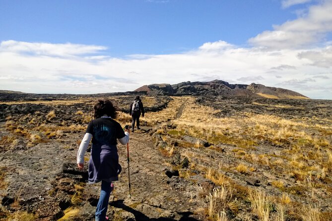 Pali Aike Full-Day Adventure from Punta Arenas - Fitness, weather, and what to bring