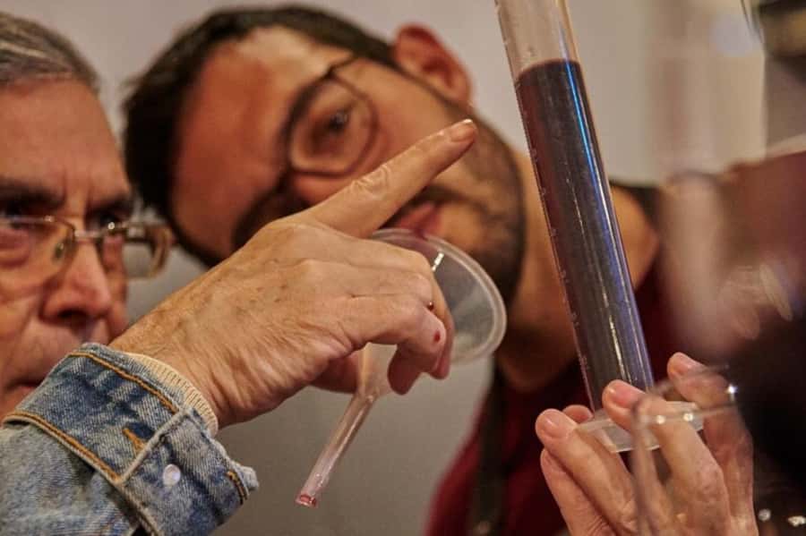 Palmilla: Make Your Own Wine Tour - Why This MontGras Visit Feels Different
