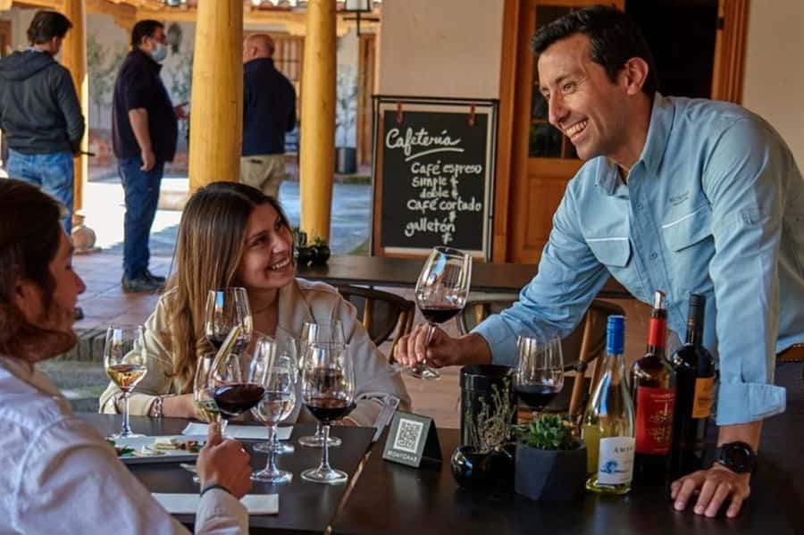 Palmilla: Wine and Flavors Tour - Walking through the vineyards and Varietal Garden