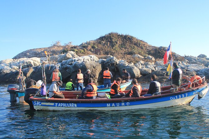 Penguin Island Boat Tour from Zapallar - Small Group Experience - Leaving Zapallar Beach for Cachagua Island