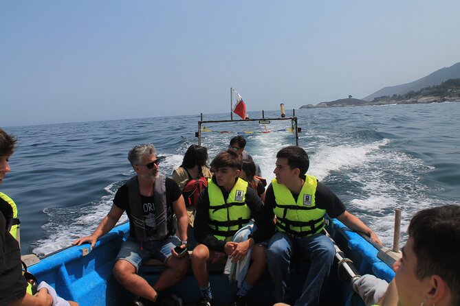 Penguin Island Boat Tour from Zapallar - Small Group Experience - Manuel and Carlitos make the short trip count