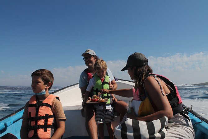 Penguin Island Boat Tour from Zapallar - Small Group Experience - The return to Zapallar Beach