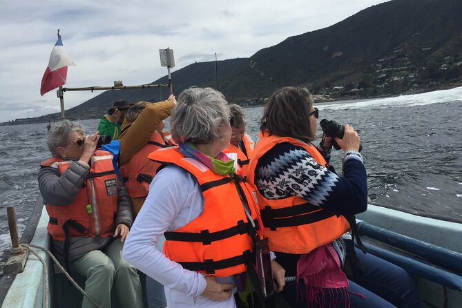 Penguins Watching-Navigation & HorseRide & Barbecue From Santiago - Zapallar beaches and the quiet middle of the day