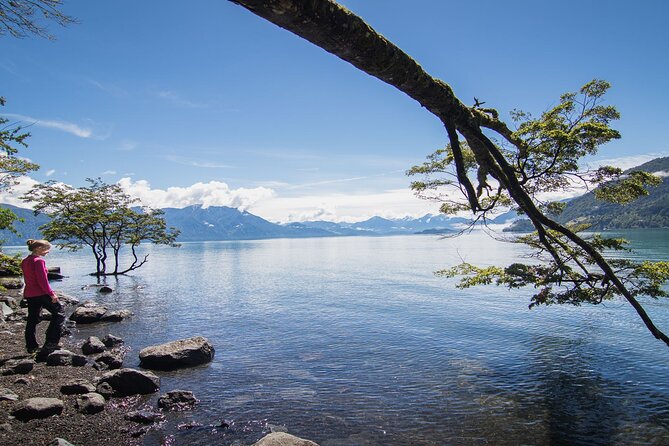Petrohue Falls and Osorno Volcano Bike Tour - Key points to know before booking