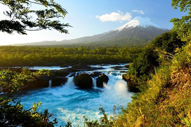 Petrohue Falls and Osorno Volcano Bike Tour - Who will enjoy this day most