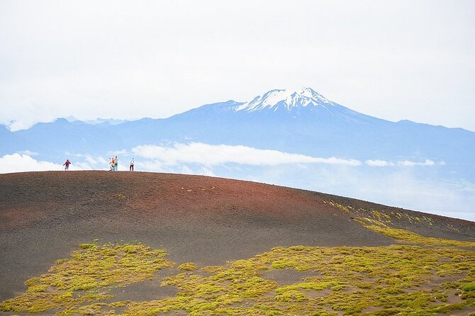 Petrohué Falls Osorno Volcano Pto Varas Sightseeing Driver Only - Timing, comfort, and practical planning