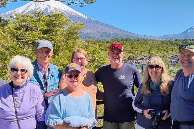 Petrohué Falls Osorno Volcano Pto Varas Sightseeing Driver Only - Who will enjoy this outing most?