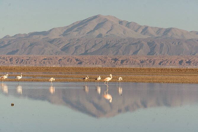 Piedras Rojas + Altiplanic Lagoons and Salar de Atacama - The 6:00 am start and breakfast on the road