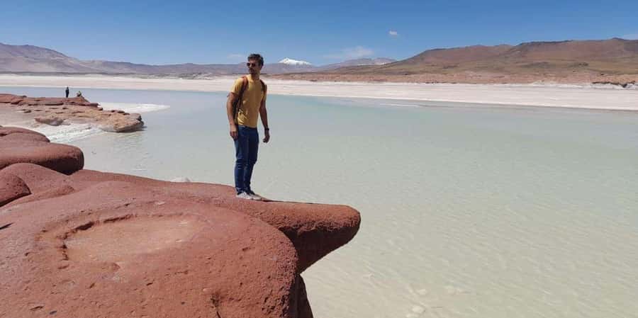 Piedras Rojas, Altiplanics Lagoons & Salar Full-Day Tour - The day at a glance