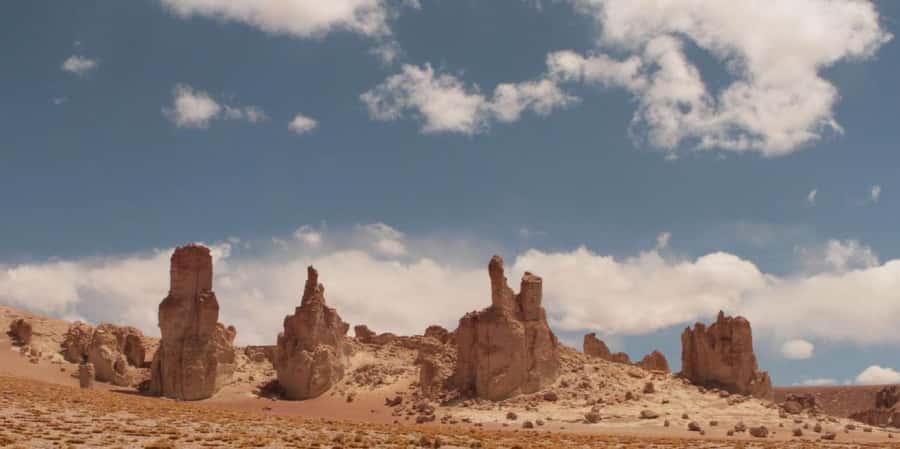 Piedras Rojas, Altiplanics Lagoons & Salar Full-Day Tour - Why this tour covers so much of the Atacama