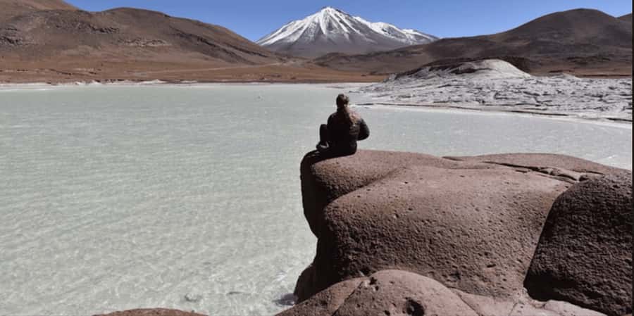 Piedras Rojas, Altiplanics Lagoons & Salar Full-Day Tour - Breakfast beside Miscanti and Miñiques Lagoons