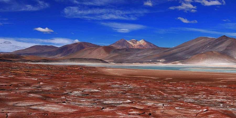 Piedras Rojas, Altiplanics Lagoons & Salar Full-Day Tour - 6:00 AM pickup and the climb to the high plateau