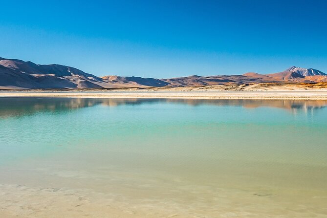 Piedras Rojas Salt Flats and Altiplanic Lagoons - Why This Full-Day Route Works