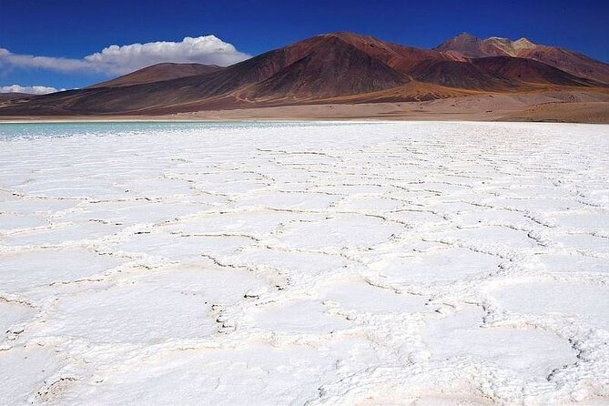 Piedras Rojas Salt Flats and Altiplanic Lagoons - Miscanti and Miñiques Near 4,200 Meters