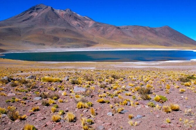 Piedras Rojas Salt Flats and Altiplanic Lagoons - Price, Extra Fees, and Overall Value