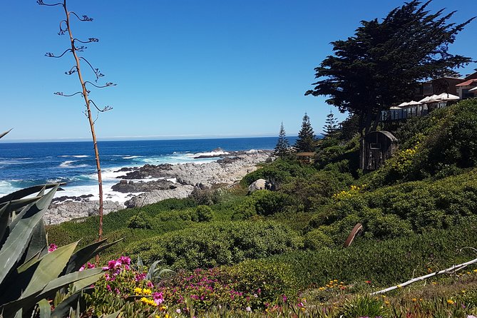 Poetry and Wines: Isla Negra and Undurraga vineyard - Algarrobo and the world-famous giant pool