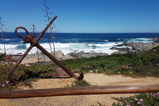 Poetry and Wines: Isla Negra and Undurraga vineyard - Casablanca’s wine market and a useful pause