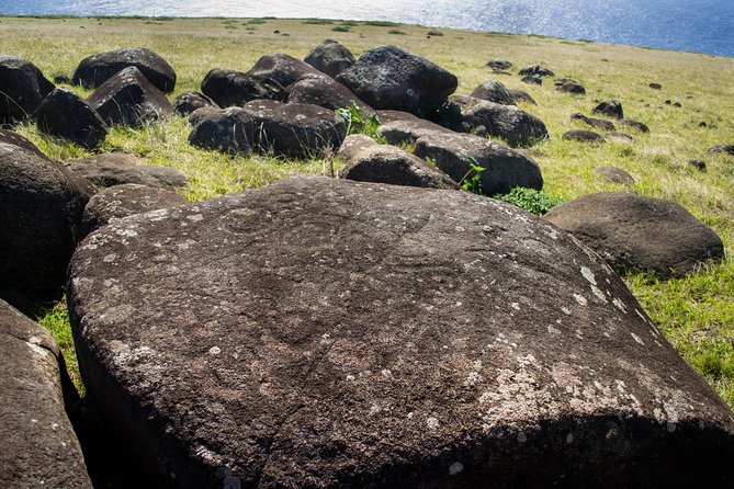 Poike: Full Day Hike - Papa Ui Hetuu, Kava Kava Kioe, and Te Pipi Tau Makohe