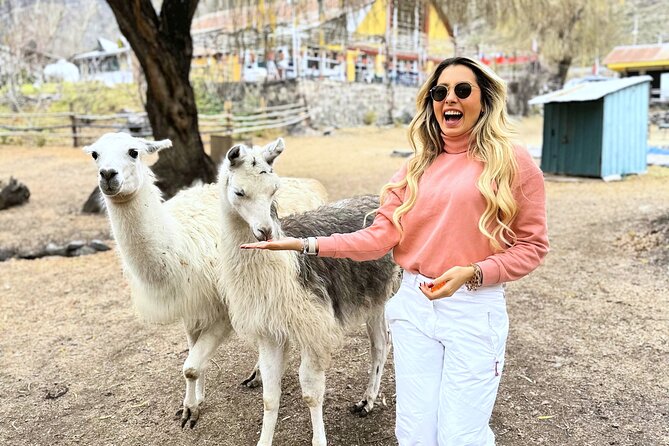 Portillo Full Day Andean Escape with Gourmet Picnic - Who should book this outing?