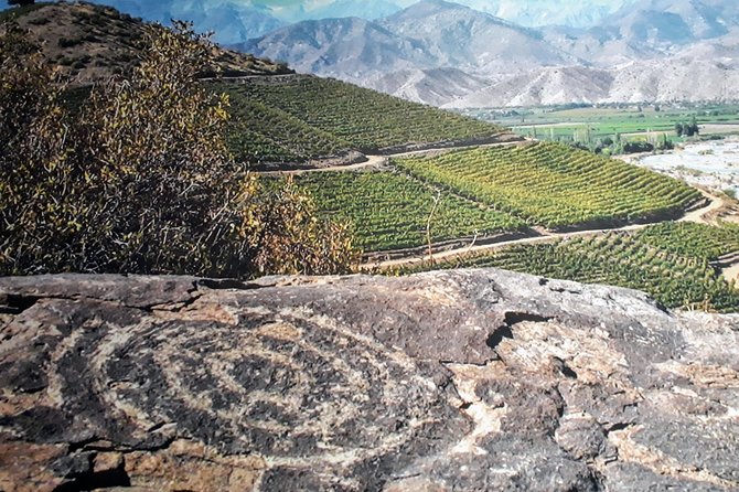 Portillo & Inca Lagoon Private Andes Experience + Chilean Wine - Laguna del Inca at 3,000 meters