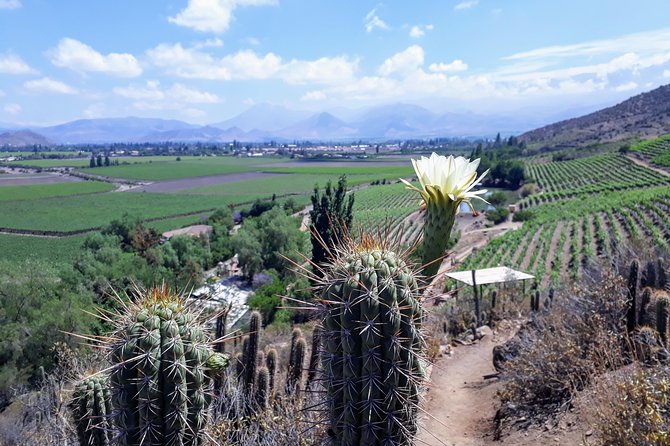 Portillo & Inca Lagoon Private Andes Experience + Chilean Wine - What the guides add to the experience